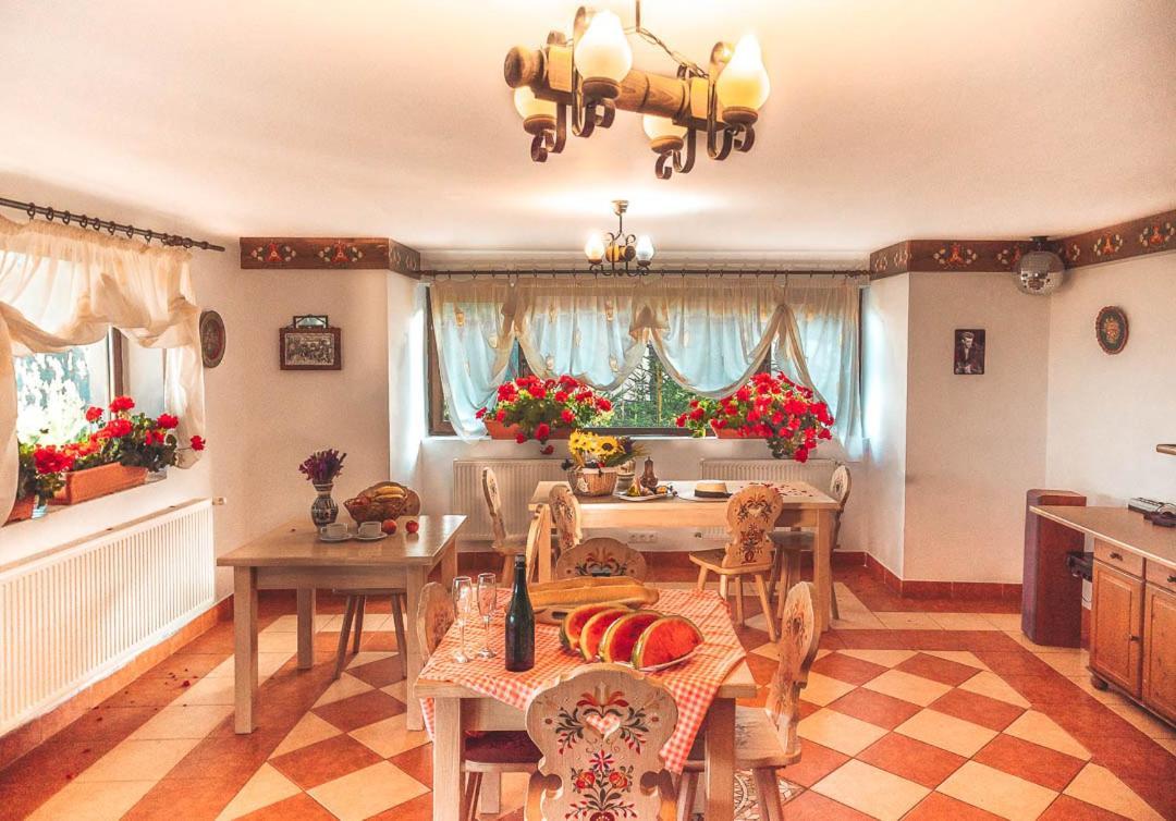 Vila Stefana Păltiniş 외부 사진