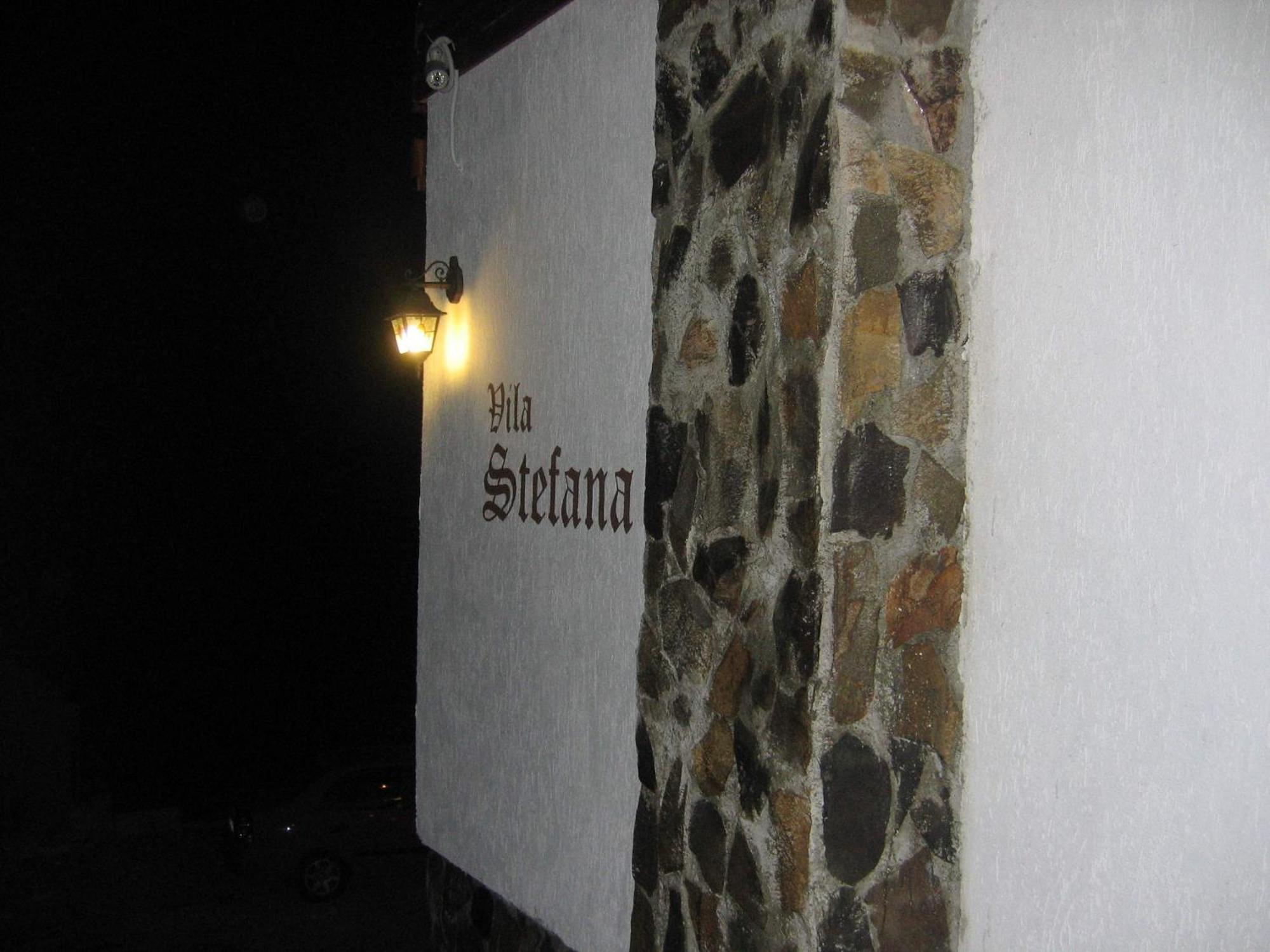 Vila Stefana Păltiniş 외부 사진
