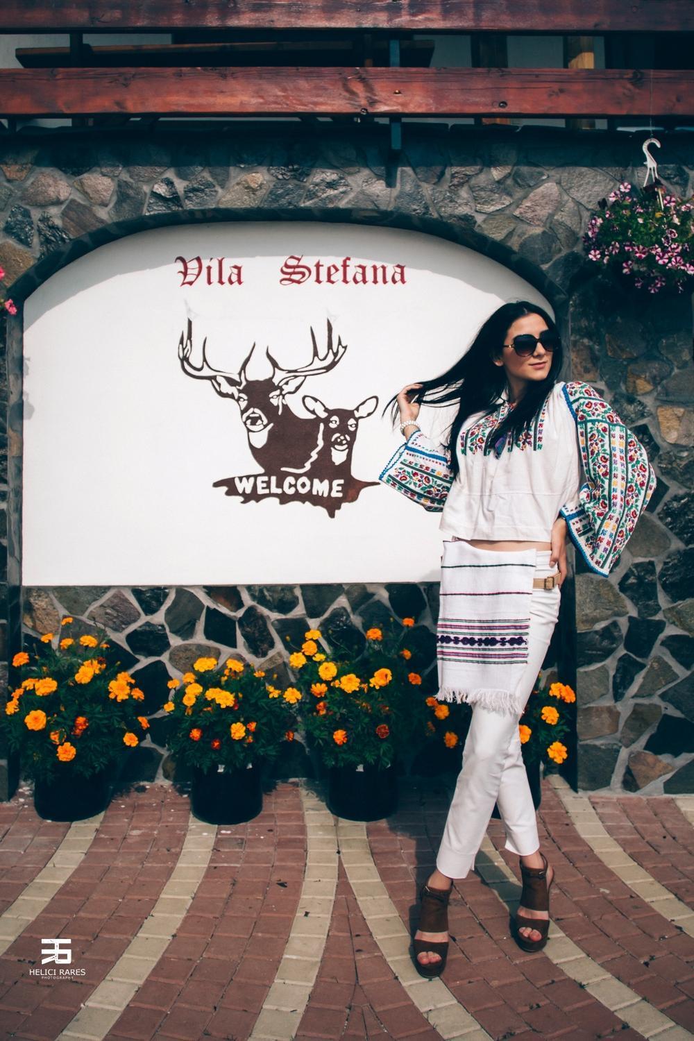 Vila Stefana Păltiniş 외부 사진